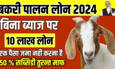 Bakri Palan Loan Subsidy